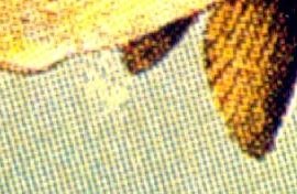 Detail vF3V9