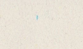 Detail wF1OR4