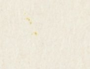 Detail vF2OR2