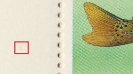 vF3LR2 vF3LR2